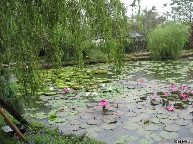 [分享]南台灣之旅-新社花海至308高地(圖多文少)