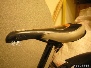 請教各位高手鑑定～關於我的Bronco單車