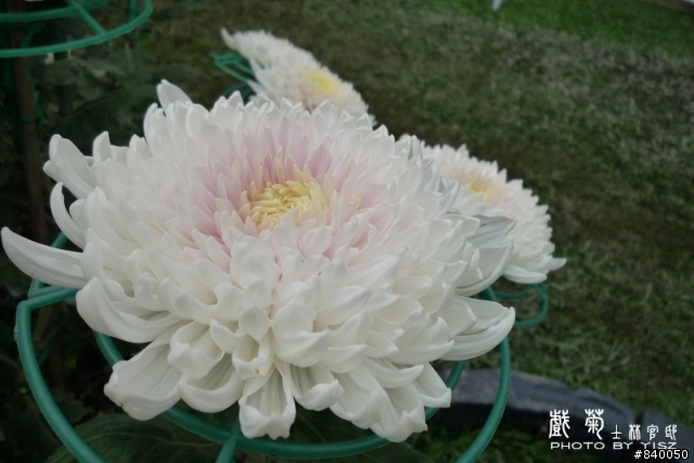 【徵召】FX38的大大..蓋大樓嚕