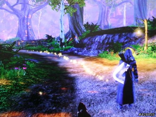 [XBOX360] 神鬼寓言2 FABLE2 遊戲心得