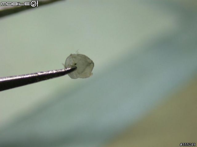 我深深體會到Gsmart的用心