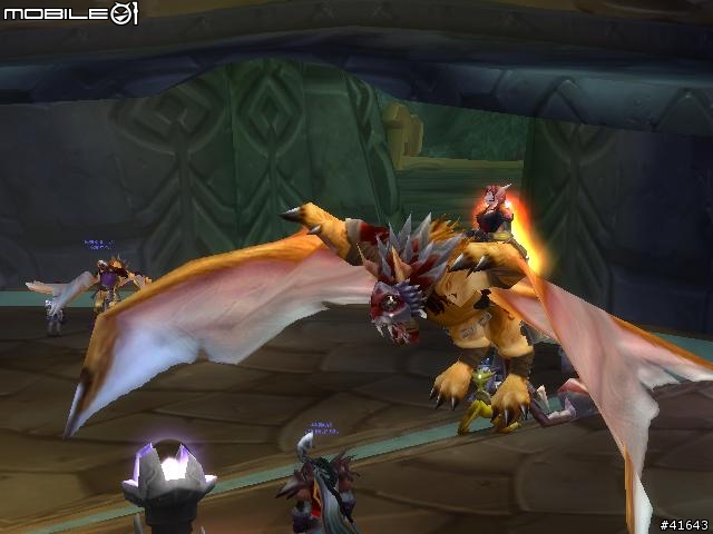 [WOW] 白化龍輕鬆取得紀錄~只要兩天