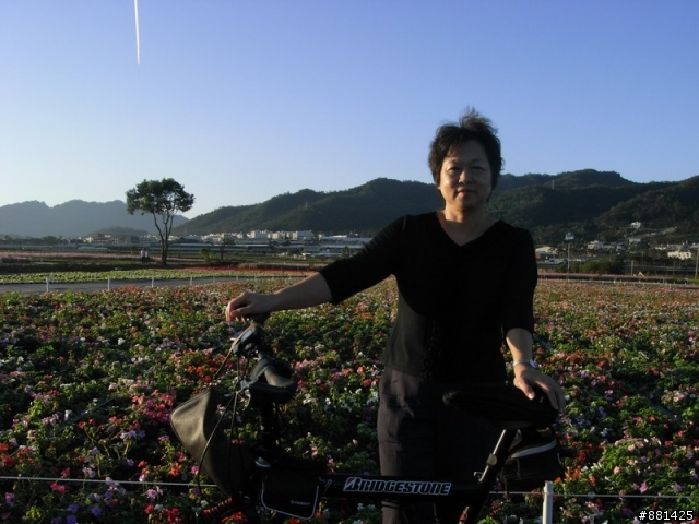 [活動成功,報平安]11/23三義-勝興車站-新社花海