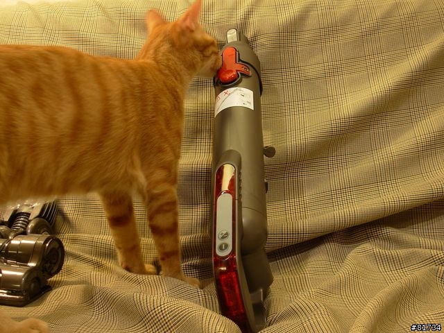 [開箱]貴森森的Dyson DC22 Allergy（圖多)