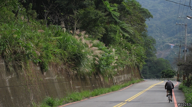 台北縣 三峽大埔→插角→大阪根→有木→滿月圓(大豹溪沿岸)