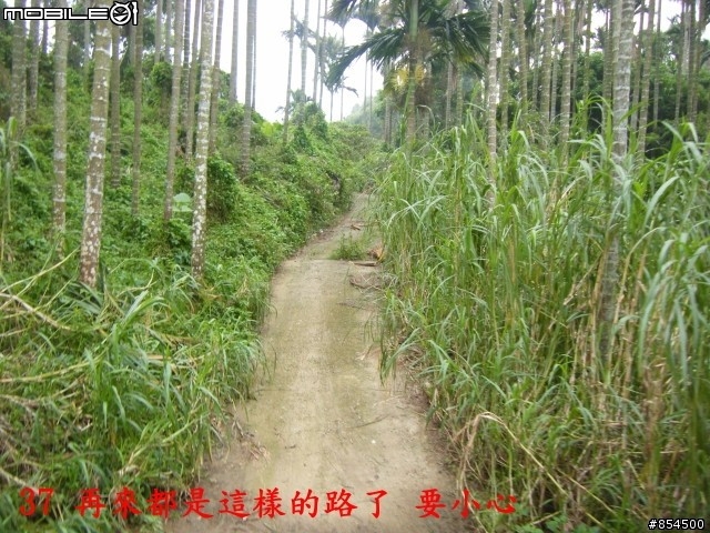 太平市山脈縱走-一江橋-龍寶橋-後璧農路-牛角坑-黃竹-竹仔坑路線介紹