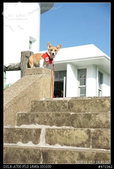 [柯基] 台灣東北角--「香蘭坊」海景咖啡、「三貂角」燈塔及步道
