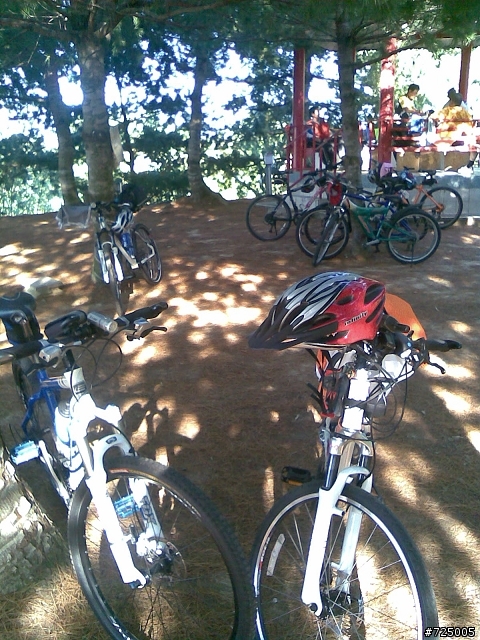 台中縣 太平市 松園