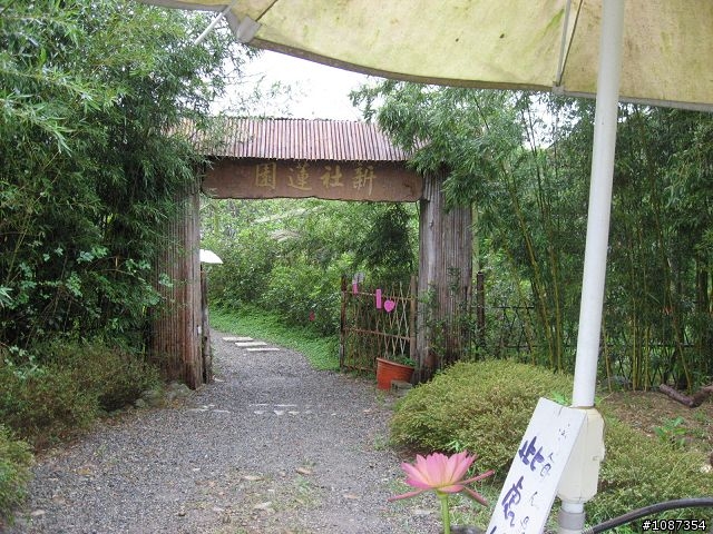 [分享]南台灣之旅-新社花海至308高地(圖多文少)