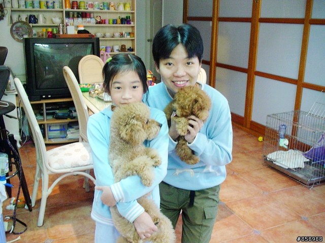 螢火蟲 油桐花 真美山中威尼斯 - 東北角民宿[大力推薦]