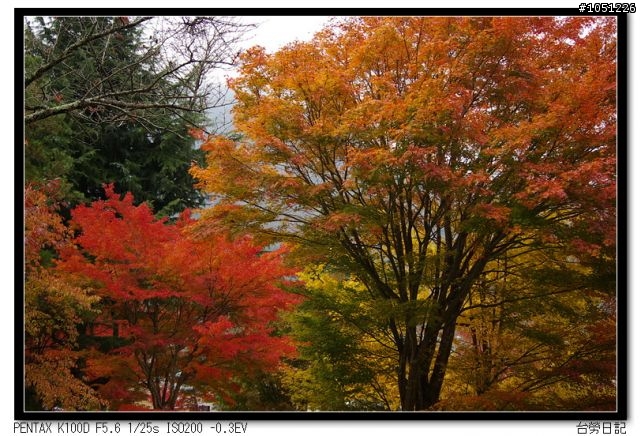 台勞日記-紅色黃色白色