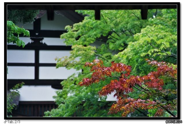 台勞日記-PENTAX ME SUPER全手動底片機隨手拍