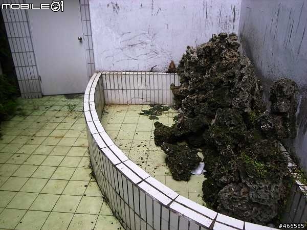 [請教] 這樣的花園該如何改造