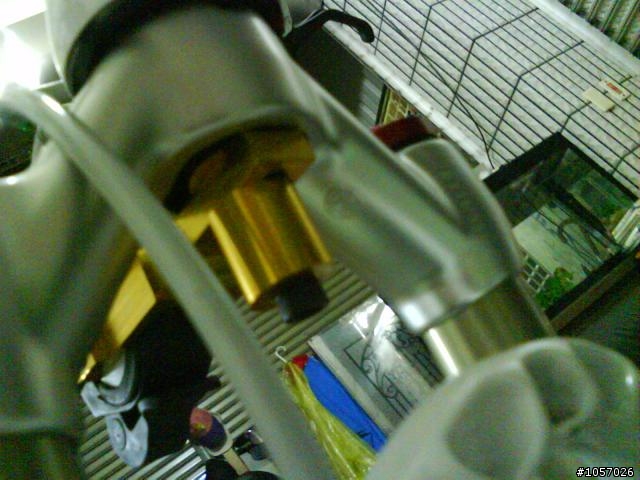 分享女王的白紫限量海豚