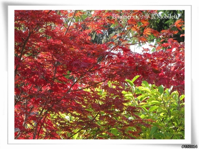 萬丈高樓比不完 [Canon SX10 IS] 悄悄動工