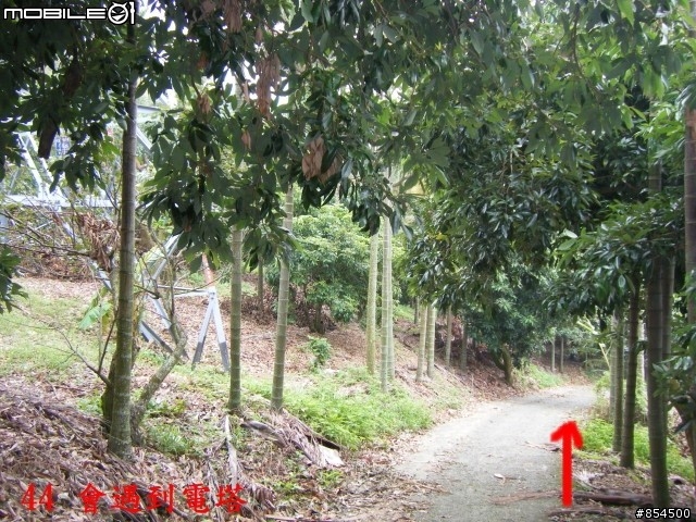 太平市山脈縱走-一江橋-龍寶橋-後璧農路-牛角坑-黃竹-竹仔坑路線介紹