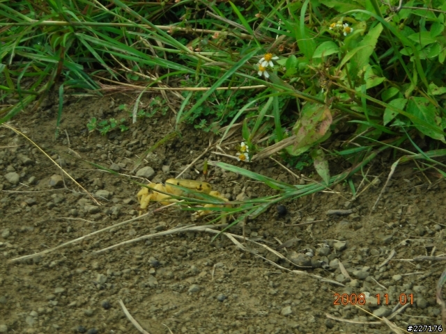 [offroad]4+2恆春門馬羅輕鬆騎(女生也能騎喔!)