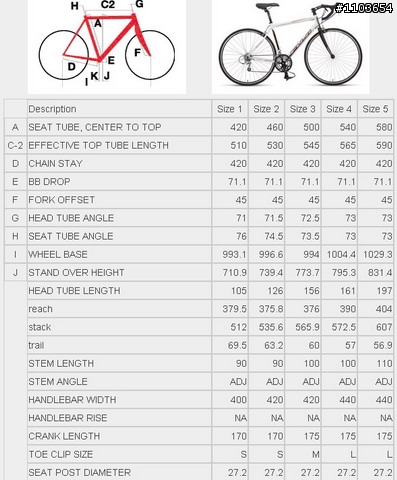 09年 Fuji newest 2.0 公路車尺寸