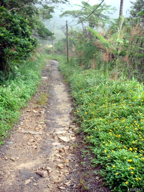 [11/8 跑馬古道影像分享)]11P完成越野,但有一點小遺憾