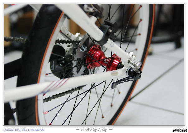 DAHON SP18心中惡魔再起之輪組改裝篇
