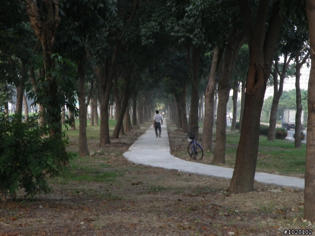 [LDS]世賢路自行車道一覽（目前進度）