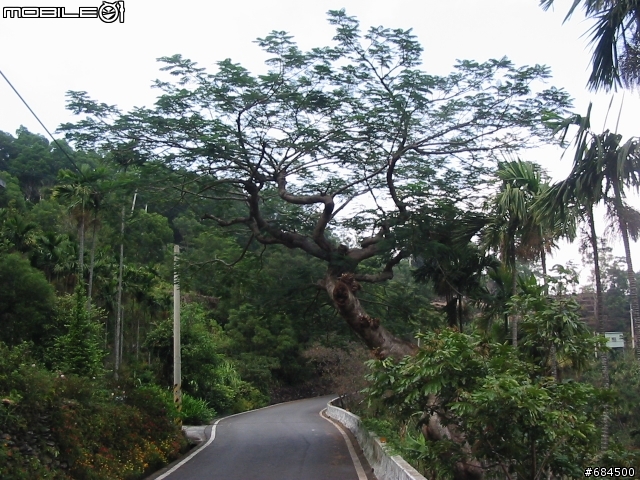 屏東縣 台24線霧台公路三地門至霧台阿禮(4+2)