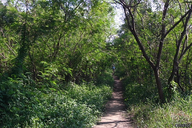 半屏山登山步道