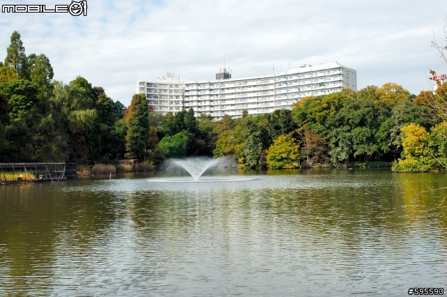 秋天的井の頭恩賜公園