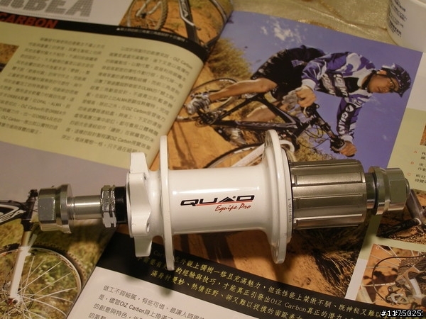 請問大大們~~~~英國QUAD 輪組AM FR DH