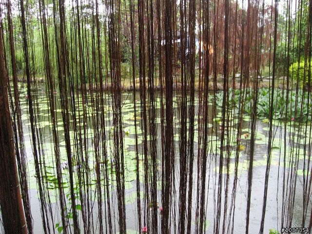 [分享]南台灣之旅-新社花海至308高地(圖多文少)