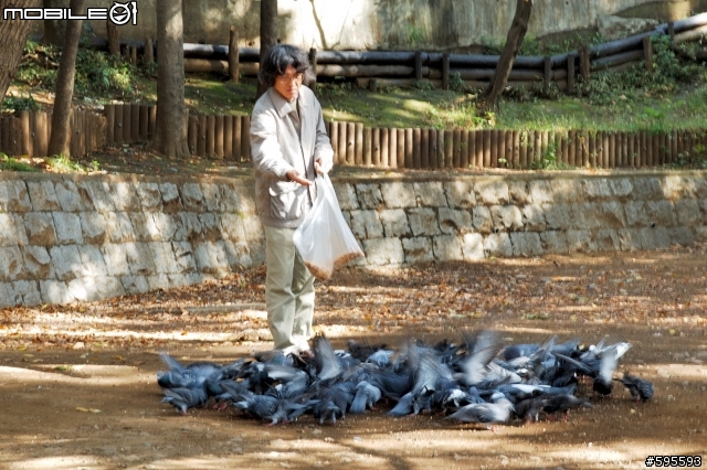 秋天的井の頭恩賜公園