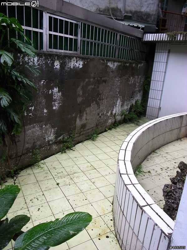 [請教] 這樣的花園該如何改造