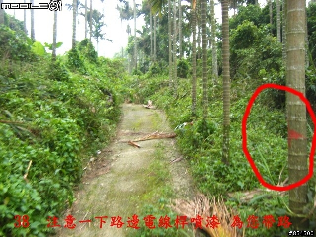 太平市山脈縱走-一江橋-龍寶橋-後璧農路-牛角坑-黃竹-竹仔坑路線介紹