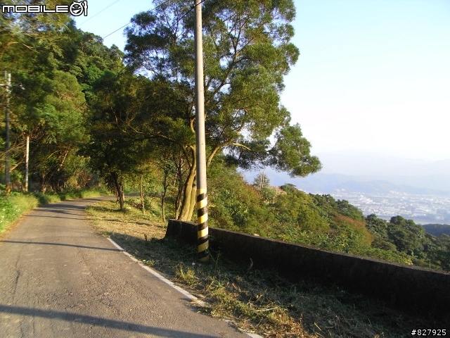 [遊記分享]桃園龜山兔子坑+樹林/鶯歌大榕樹