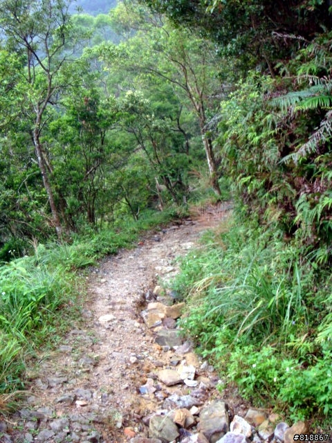 [11/8 跑馬古道影像分享)]11P完成越野,但有一點小遺憾