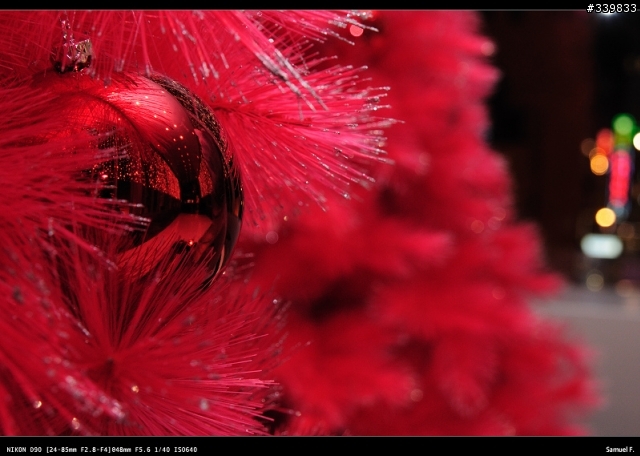 [開箱嚕!!!] 推一推介好鏡 Nikon AF 24-85mm f/2.8-4D Macro IF
