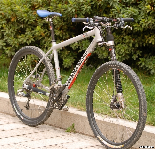 我的cannondale