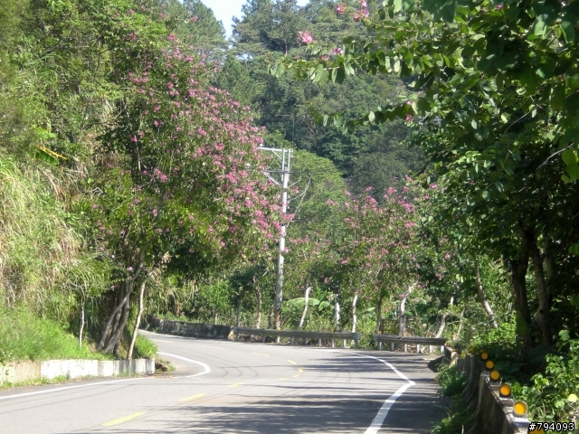 第一次挑戰羅馬公路結果失敗了