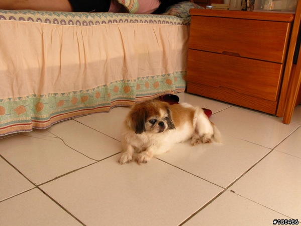 閃燈開箱文 G9+Canon 430EXII