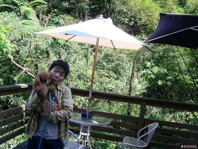 螢火蟲 油桐花 真美山中威尼斯 - 東北角民宿[大力推薦]