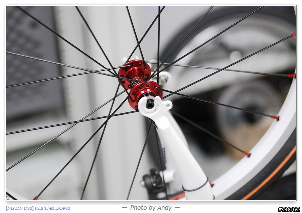 DAHON SP18心中惡魔再起之輪組改裝篇