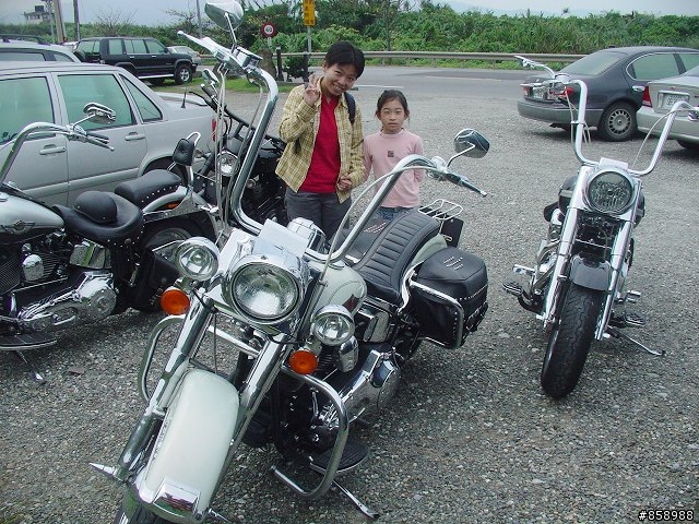 螢火蟲 油桐花 真美山中威尼斯 - 東北角民宿[大力推薦]