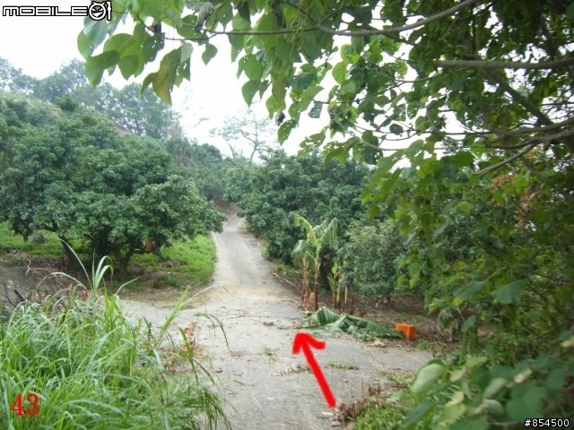 太平市山脈縱走-一江橋-龍寶橋-後璧農路-牛角坑-黃竹-竹仔坑路線介紹