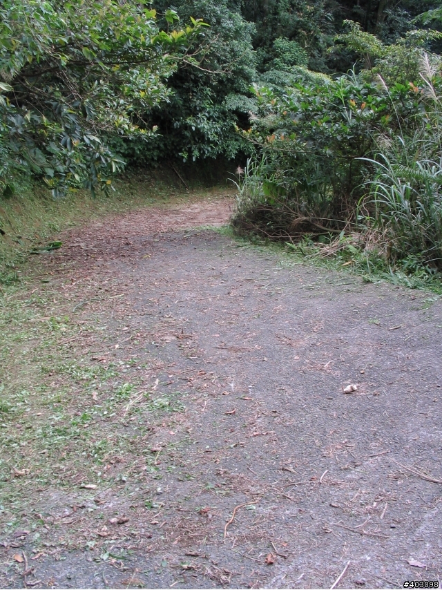 【分享】小K之支線旅行社探路記