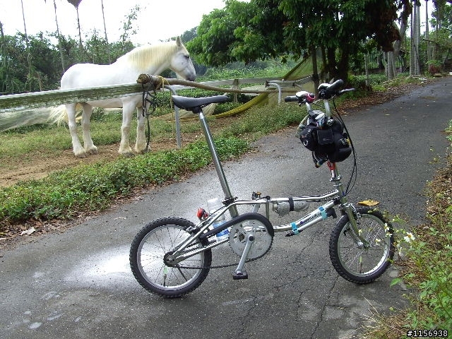 [前置折疊保冰籃][布朗登]或[NEOBIKE]小折(絕版車)報到[擋泥板DIY]