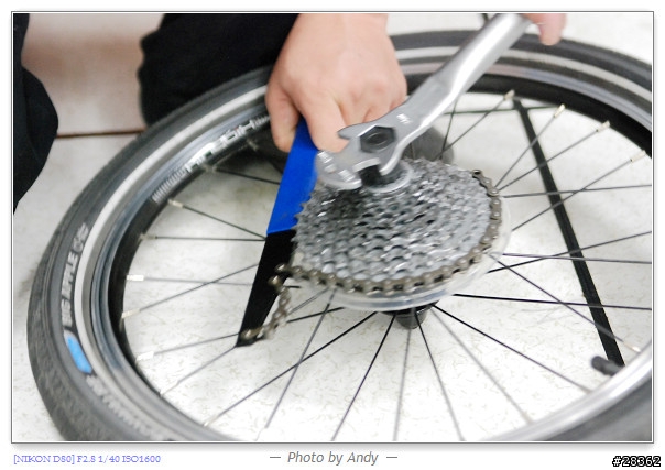 DAHON SP18心中惡魔再起之輪組改裝篇
