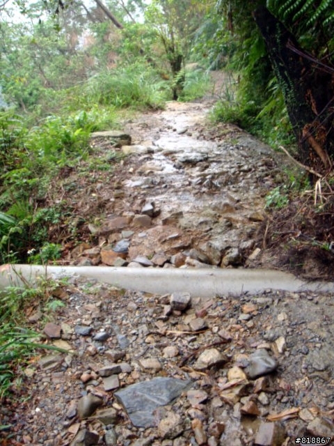 [11/8 跑馬古道影像分享)]11P完成越野,但有一點小遺憾
