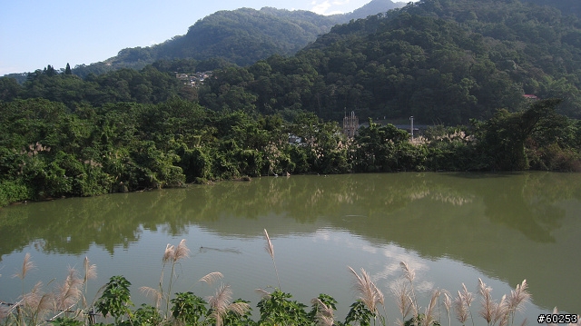 台北縣 三峽大埔→插角→大阪根→有木→滿月圓(大豹溪沿岸)