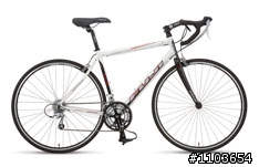 09年 Fuji newest 2.0 公路車尺寸