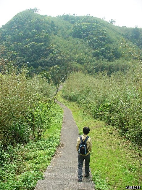 螢火蟲 油桐花 真美山中威尼斯 - 東北角民宿[大力推薦]